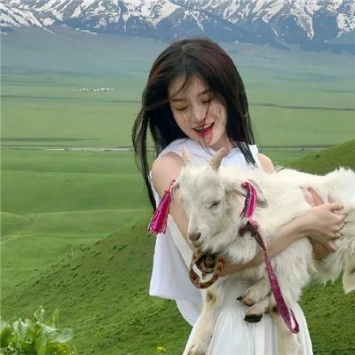 爱的着陆